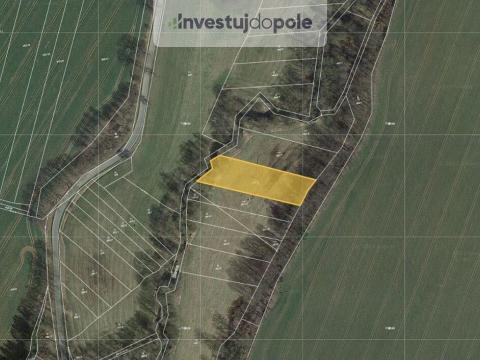 Prodej pozemku, Běleč, 2891 m2