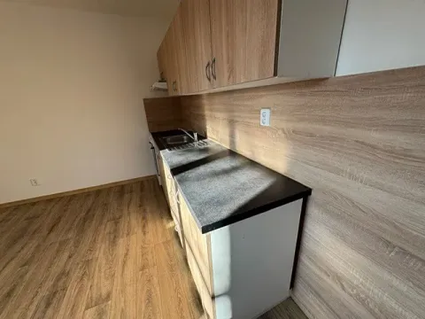 Pronájem bytu 2+1, Ostrava, Gorochovova, 50 m2