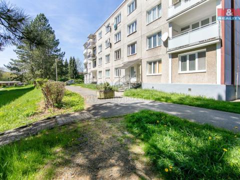 Pronájem bytu 2+1, Domažlice - Hořejší Předměstí, Palackého, 50 m2