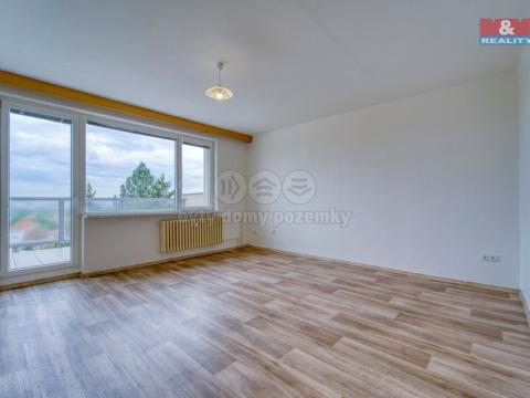 Pronájem bytu 1+1, Plzeň - Severní Předměstí, alej Svobody, 50 m2