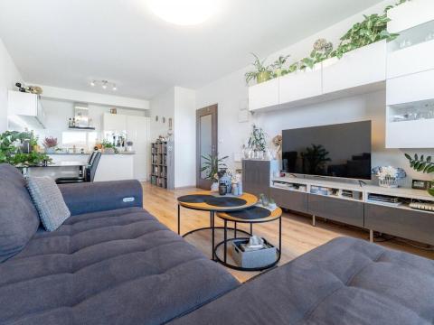 Prodej bytu 2+kk, Liberec - Liberec XXX-Vratislavice nad Nisou, U Sila, 56 m2