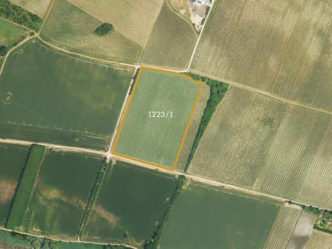 Prodej sadu/vinice, Sedlec, 35932 m2