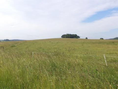 Dražba pole, Horní Štěpánov, 16122 m2