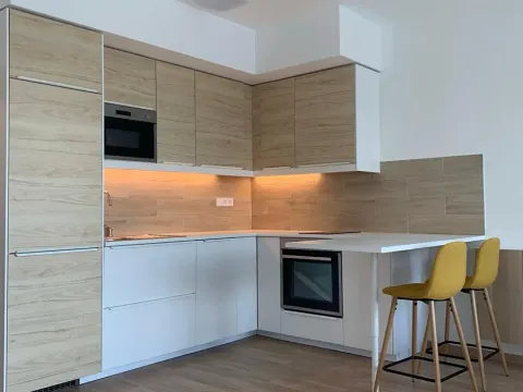Pronájem bytu 1+kk, Praha - Žižkov, Olgy Havlové, 38 m2