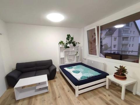 Pronájem bytu 1+kk, Plzeň, alej Svobody, 36 m2