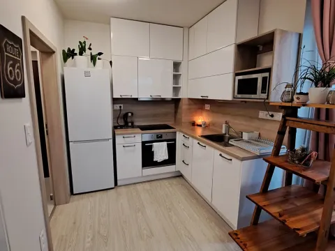 Pronájem bytu 1+kk, Brno, Kyselkova, 35 m2