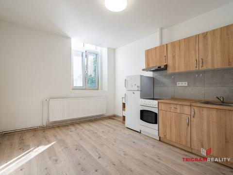 Pronájem bytu 1+kk, Hradec Králové - Plotiště nad Labem, Petra Jilemnického, 18 m2