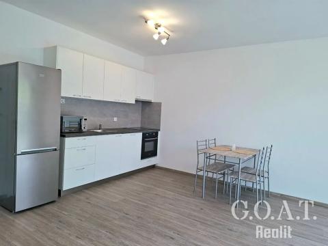 Pronájem bytu 2+kk, Dobřany, Loudů, 55 m2