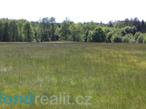 Prodej pole, Staré Křečany, 50580 m2