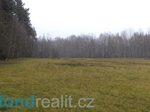 Prodej pole, Horní Planá - Hůrka, 22308 m2