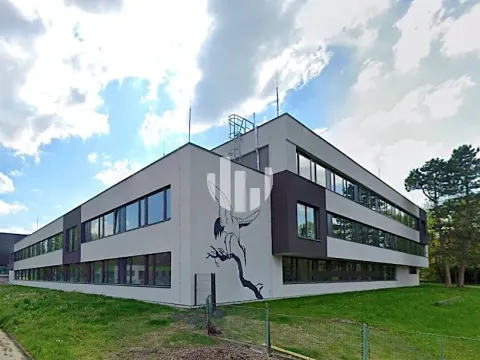 Pronájem kanceláře, Ostrava, Slavíkova, 1000 m2