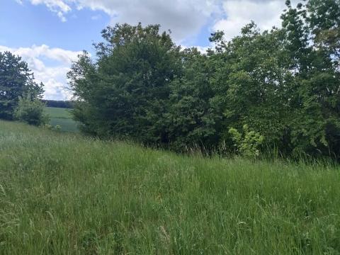 Prodej pozemku pro bydlení, Měrotín, 3254 m2