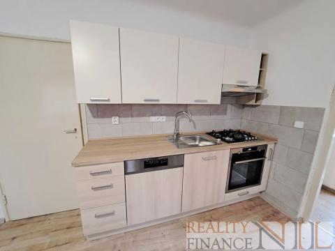 Pronájem rodinného domu, Rokycany, Stará cesta, 48 m2