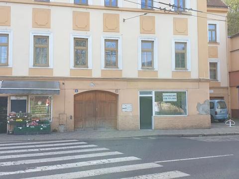 Pronájem obchodního prostoru, Teplice, U Hadích lázní, 50 m2