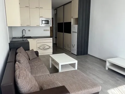 Pronájem bytu 1+kk, České Budějovice, K. Chocholy, 21 m2