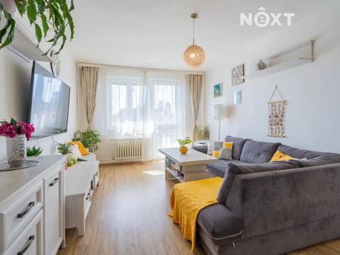 Prodej bytu 3+1, České Budějovice, Fr. Škroupa, 83 m2