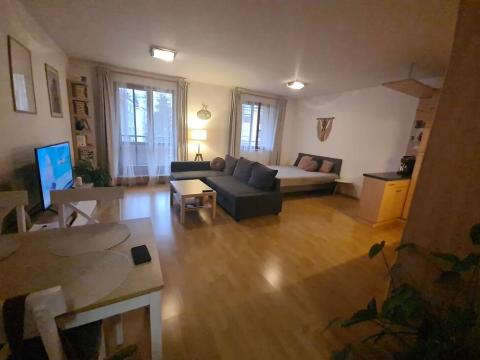Pronájem bytu 1+kk, Praha - Břevnov, Patočkova, 44 m2