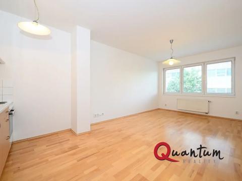 Pronájem bytu 1+kk, Praha - Michle, Jemnická, 30 m2
