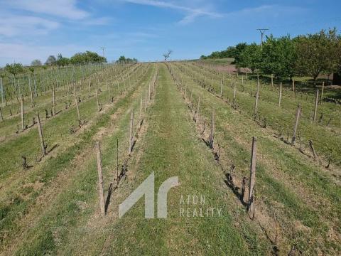 Prodej sadu/vinice, Křepice, 4085 m2