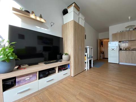 Pronájem bytu 1+kk, Praha - Střížkov, Zakšínská, 27 m2