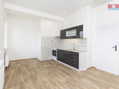 Pronájem bytu 1+1, Vysoké Mýto - Pražské Předměstí, Mánesova, 35 m2