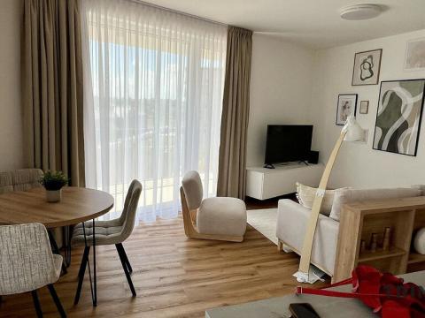 Pronájem bytu 2+kk, Ostrava - Moravská Ostrava, F. X. Riepla, 58 m2