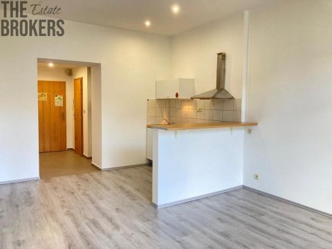 Pronájem bytu 2+kk, Praha - Motol, Plzeňská, 56 m2