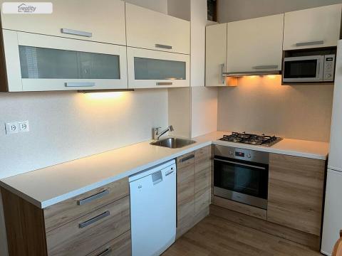 Pronájem bytu 1+1, Brno - Řečkovice, 47 m2