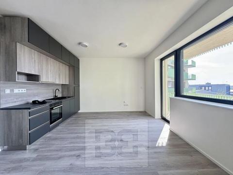 Pronájem bytu 1+kk, Znojmo, Kotkova, 35 m2