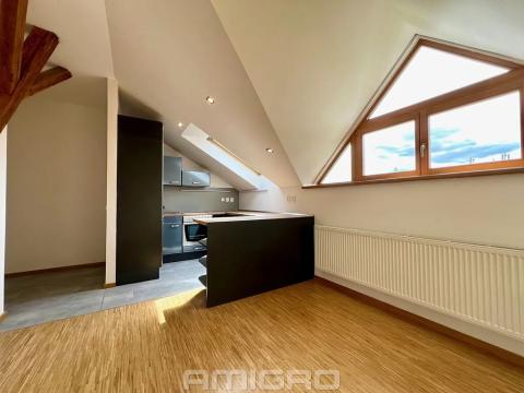 Pronájem bytu 2+kk, Brno, Obilní trh, 51 m2
