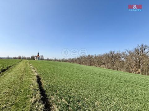 Prodej pole, Číčovice, 1598 m2