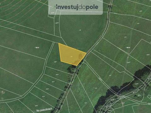 Prodej pole, Neurazy - Nová Ves u Nepomuka, 1677 m2