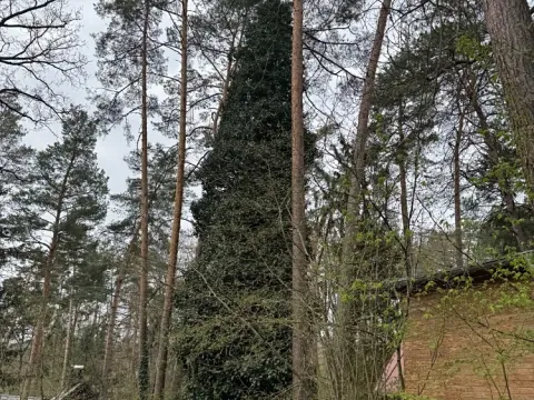 Prodej chaty, Brno, 25 m2