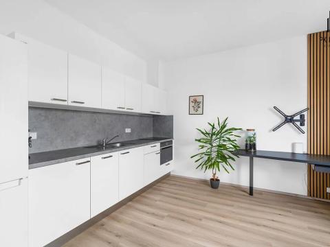 Pronájem bytu 1+kk, Brno, Gajdošova, 32 m2