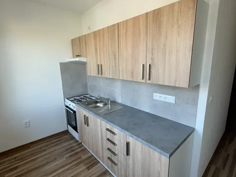 Pronájem bytu 2+1, Nový Jičín, Trlicova, 53 m2