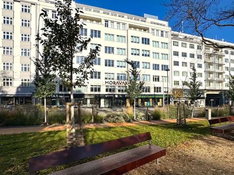 Pronájem kanceláře, Brno, Moravské náměstí, 35 m2