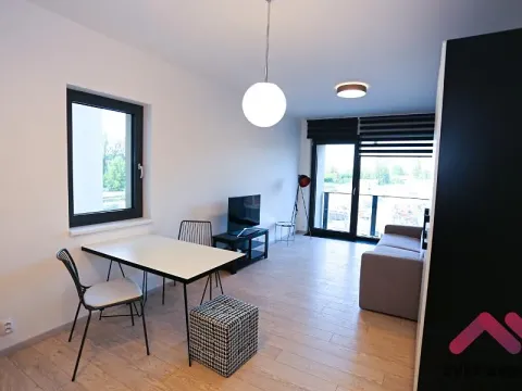 Pronájem bytu 1+kk, Praha - Karlín, U Mlýnského kanálu, 35 m2