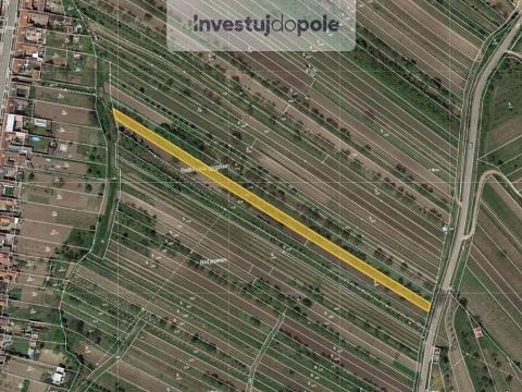 Prodej pole, Kobylí, 2490 m2