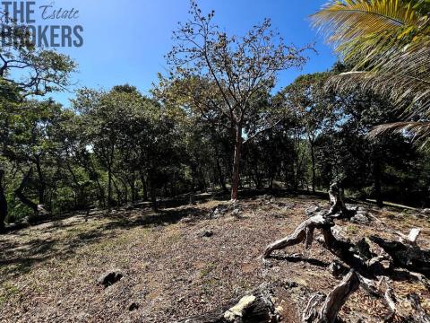 Prodej pozemku, Coxen Hole, Roatán, Honduras, 2400 m2