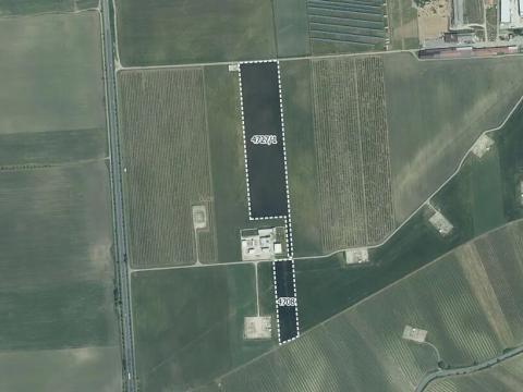 Prodej pole, Horní Věstonice, 8925 m2
