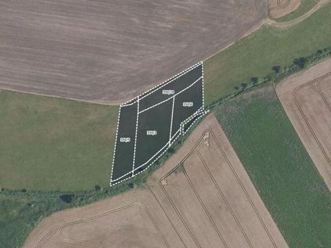 Prodej pole, Kosořice, 14150 m2