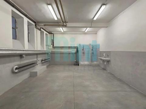 Pronájem skladu, Ostrava, Teslova, 58 m2