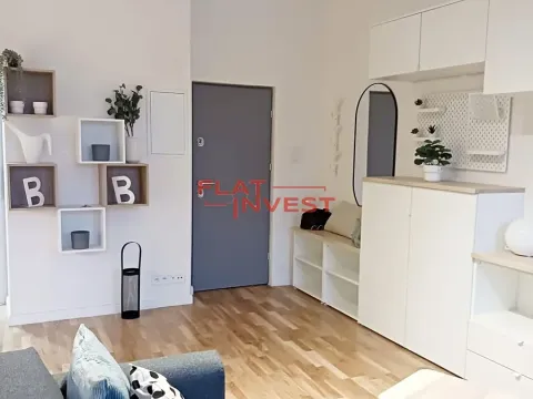 Pronájem bytu 1+kk, Praha - Karlín, Vítkova, 39 m2