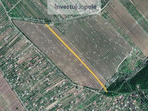 Prodej pozemku, Strážnice, 1828 m2