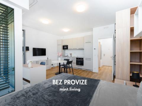 Pronájem bytu 1+kk, Praha - Vysočany, Odkolkova, 42 m2