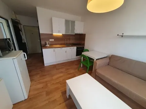 Pronájem bytu 1+1, Jihlava, Březinova, 42 m2