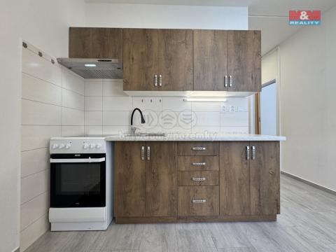 Pronájem bytu 1+1, České Budějovice - České Budějovice 2, Prachatická, 31 m2