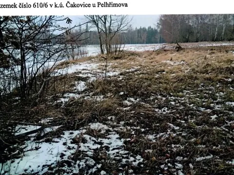 Prodej lesa, Pelhřimov, 536 m2