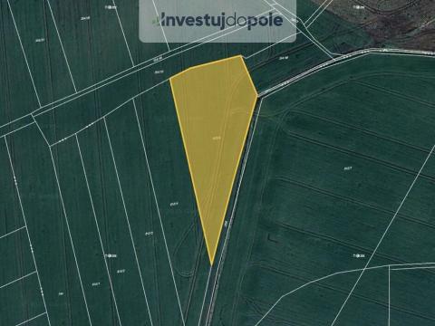 Prodej pole, Cerhenice, 2877 m2