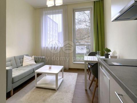 Pronájem bytu 1+kk, Sázava, Poznaňská, 17 m2